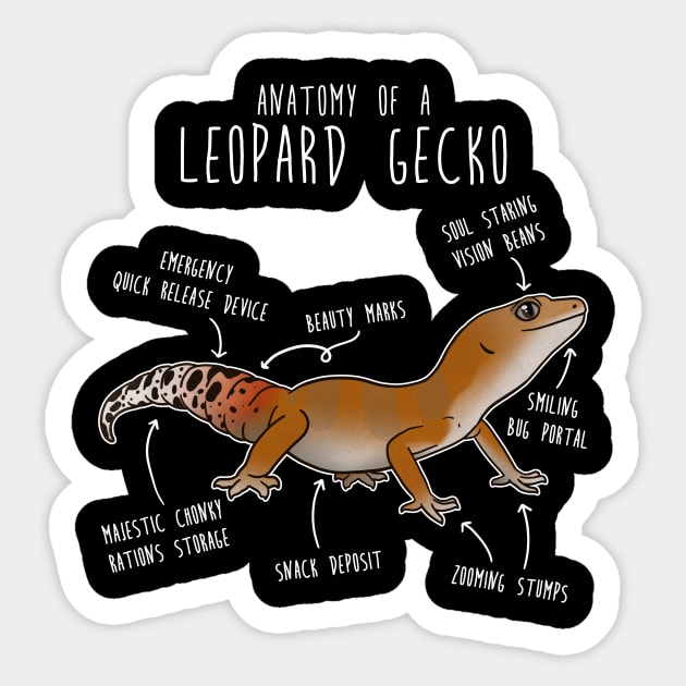 Super Hypo Tangerine Leopard Gecko Lizard Reptile Anatomy Sticker by Psitta